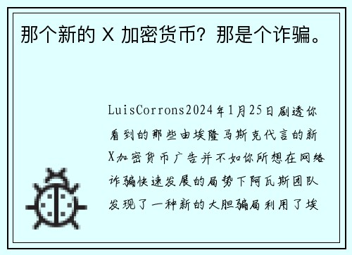 那个新的 X 加密货币？那是个诈骗。