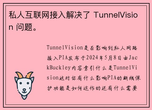 私人互联网接入解决了 TunnelVision 问题。