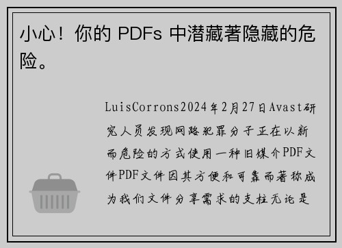 小心！你的 PDFs 中潜藏著隐藏的危险。