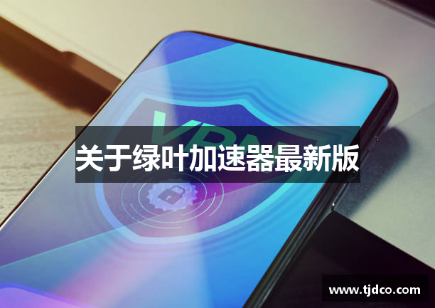 关于绿叶加速器最新版